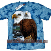 Футболка American Eagle